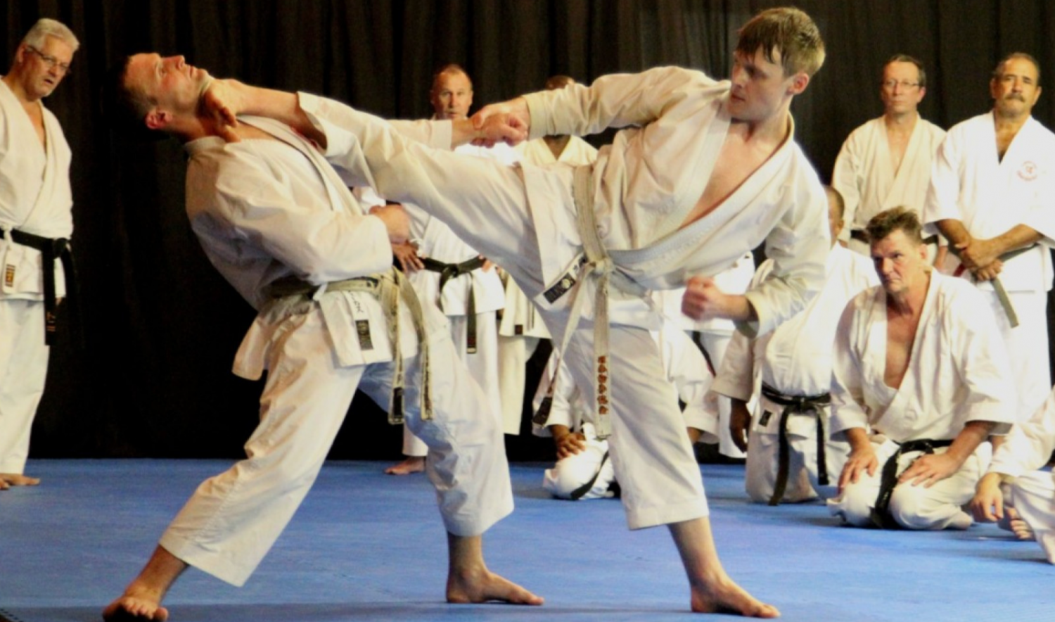 Traditional Shotokan Karate
