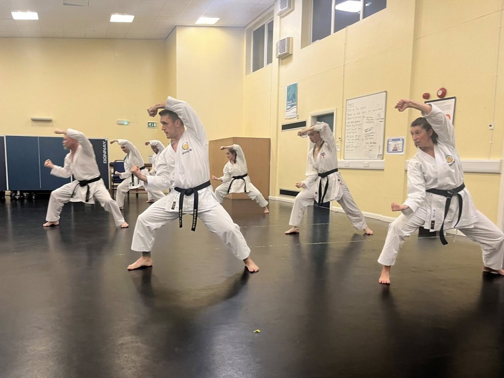 Matt Price Sensei instructing at SSKC.